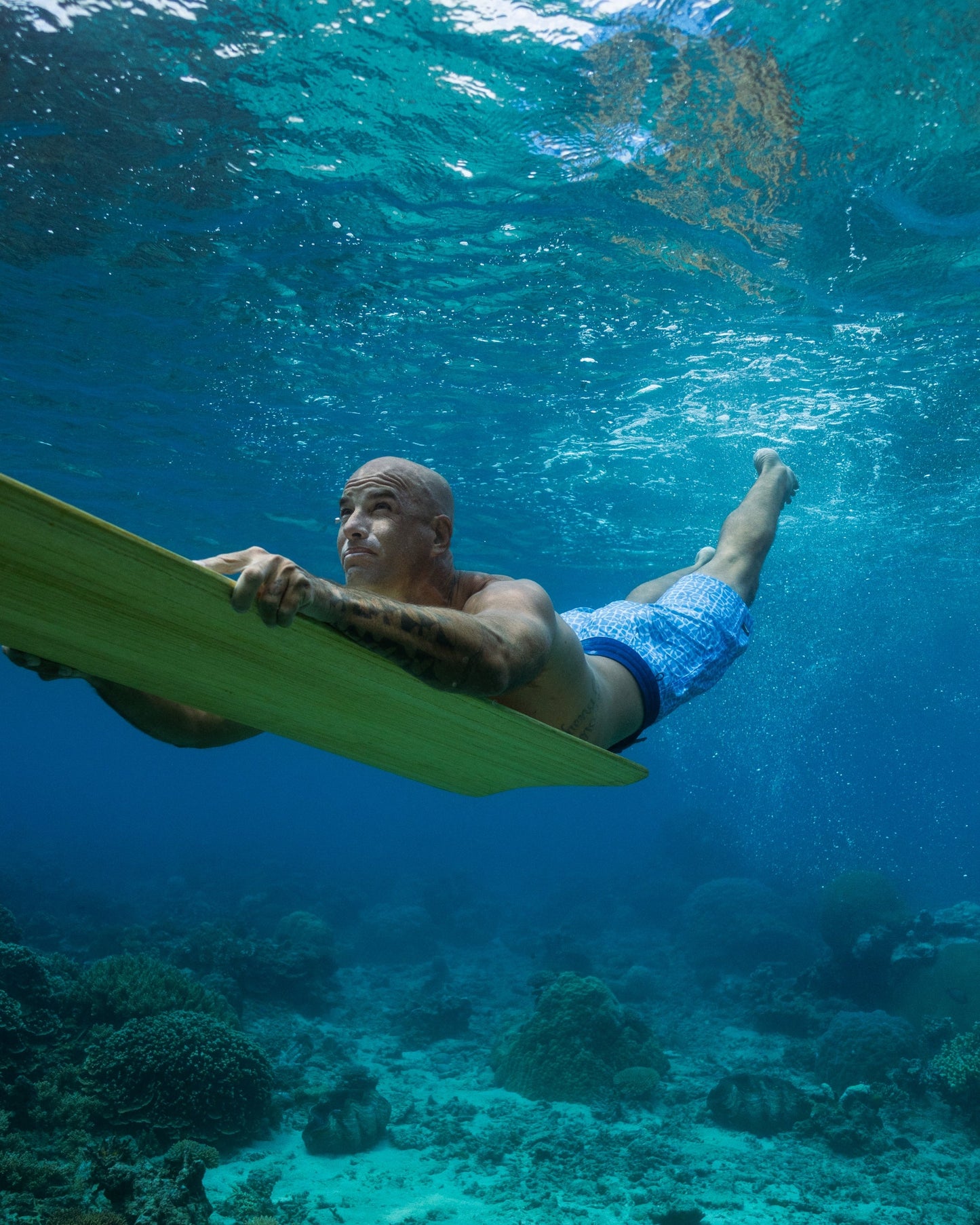 Coral Sea 19" Boardshorts - Riviera