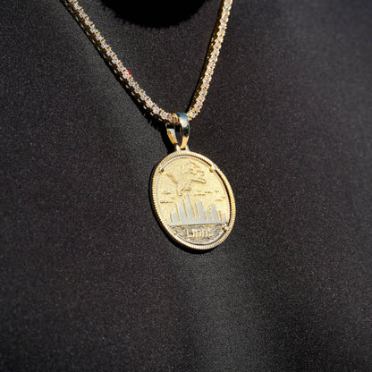 Detroit Lions Official NFL Coin Pendant in Yellow Gold